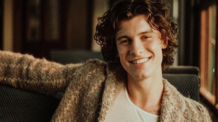 Shawn Mendes Akan Merilis Film Dokumenter di Netflix yang Berjudul 