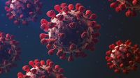 Apa Penyebab Adanya Virus Corona? Ini Jawabannya untuk Diingat Lagi