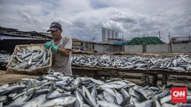 Harga Ikan Diramal Melonjak 15 Persen Pekan Pertama Ramadan