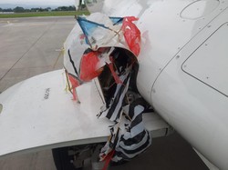 Pesawat Takut Burung hingga Layangan, Ini Penjelasan Pilot