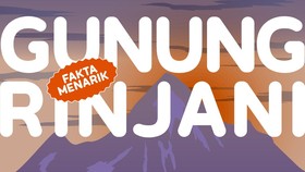 INFOGRAFIS: Fakta Menarik Gunung Rinjani