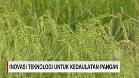 VIDEO: Inovasi Teknologi Untuk Kedaulatan Pangan ( 5/5 )