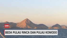 VIDEO: Beda Pulau Rinca dan Pulau Komodo