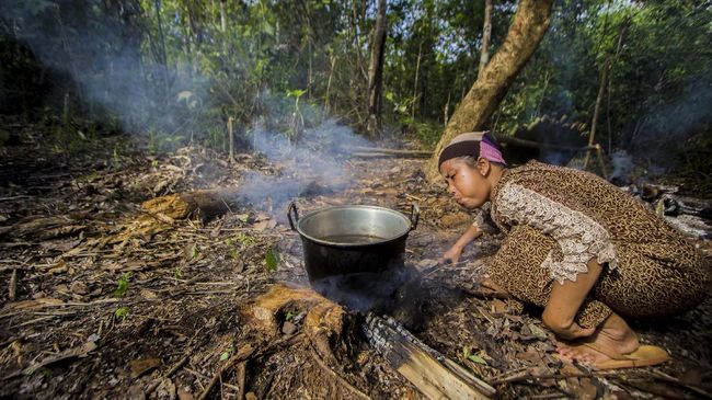 Koalisi: Kerentanan Masyarakat Adat Diperparah Pandemi Corona Laporan sejumlah organisasi menyebut beberapa aturan yang terbit selama pandemi Covid-19 justru merugikan masyarakat adat dan merusak lingkungan.
