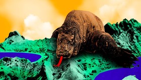 INFOGRAFIS: Fakta Menarik Taman Nasional Komodo