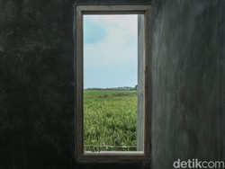 RI Darurat Lahan Pangan, Ini Buktinya