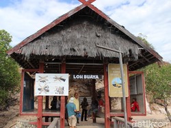 KLHK: Tidak Ada Konsep Jurassic Park di Pulau Rinca Komodo