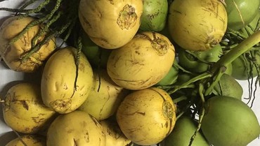 img-title Air Kelapa Muda Ternyata Ampuh Tekan Tingkat Parah COVID-19