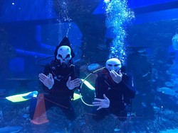Cuti Bersama, Jakarta Aquarium dan Dufan Tebar Promo dan Atraksi Menarik
