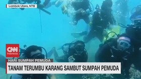 VIDEO: Tanam Terumbu Karang Sambut Sumpah Pemuda