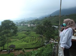 3 Spot di Puncak yang Amat Ramai Wisatawan