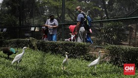 FOTO: Wisata Libur Panjang di TMII