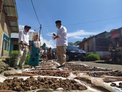 Cagub Sumbar Nasrul Abit Janji Bantu Petani Stabilkan Harga Gambir