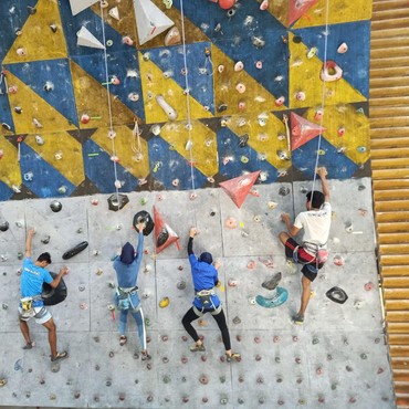 Lolos Perempat Final Olimpiade Paris 2024, Ini Harapan Atlet Panjat Tebing Indonesia