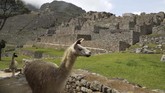 FOTO : Wisata Machu Picchu Segera Dibuka Kembali Situs bersejarah Machu Picchu di Peru akan dibuka kembali pada Minggu (1/11).