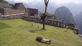 FOTO : Wisata Machu Picchu Segera Dibuka Kembali Situs bersejarah Machu Picchu di Peru akan dibuka kembali pada Minggu (1/11).
