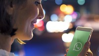 Heboh Status WhatsApp Bisa Curi Data Rekening Bank, Cek Faktanya Bun