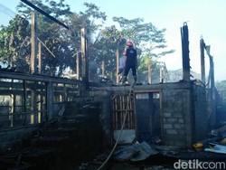 Kandang Peternakan di Blitar Terbakar, 6 Ribu Anak Ayam Mati Terpanggang