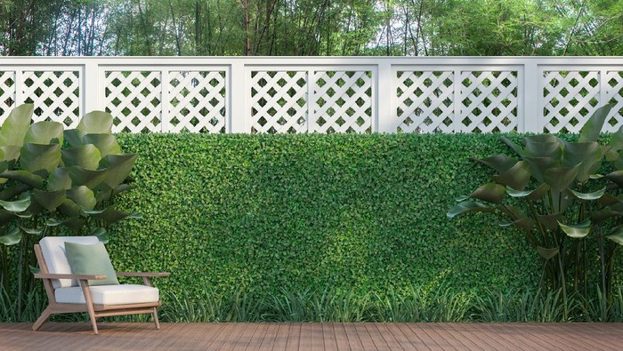 Front of back yard, swimming pool, house,  small
