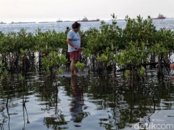 Jakarta Diprediksi Tenggelam 2050, Pakar BRIN: Karena Land Subsidence