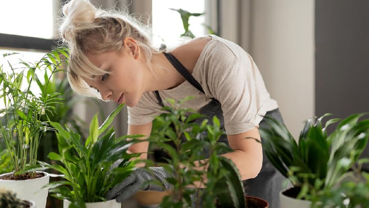 Pretty woman grows tropical plants in her garden. Gardener in working outfit looking after different exotic flower and herb.
