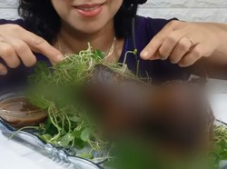 Bikin Geram! Terjadi Lagi YouTuber Mukbang Daging Kucing