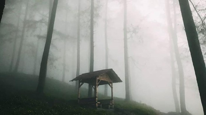 5 Tempat Angker di Banyumas yang Indah dan Penuh Kisah Mistis