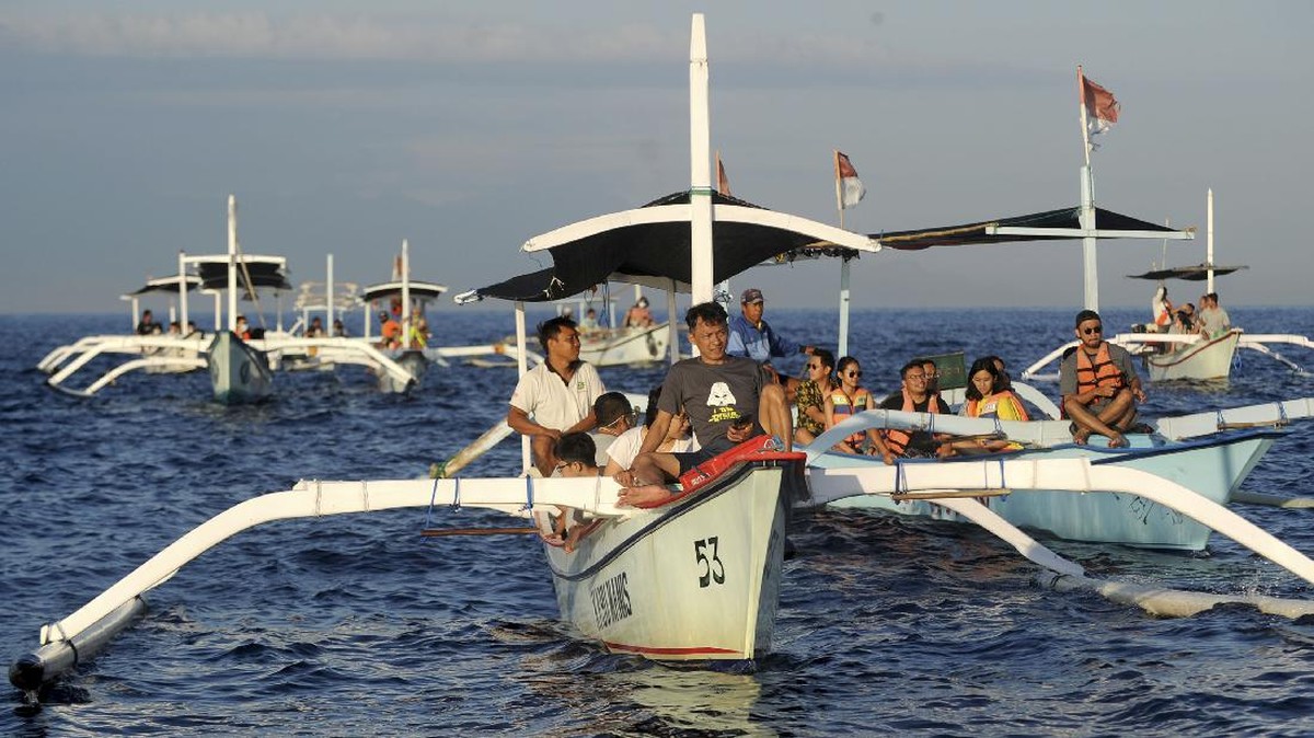 FOTO: Melihat Lumba-Lumba di Lovina Bali