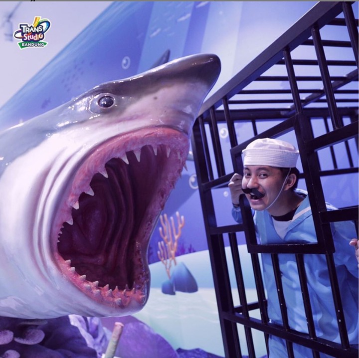 Ingin punya foto bersama ikan-ikan tanpa perlu repot-repot menyelam? Anemone Aquarium jadi spot foto yang tepat di Trans Studio Bandung. Terletak di dalam Ocean World Science Center. (Foto: doc. Trans Studio Bandung)