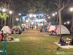Semarang Punya Angkringan Berkonsep Kemping di Hutan