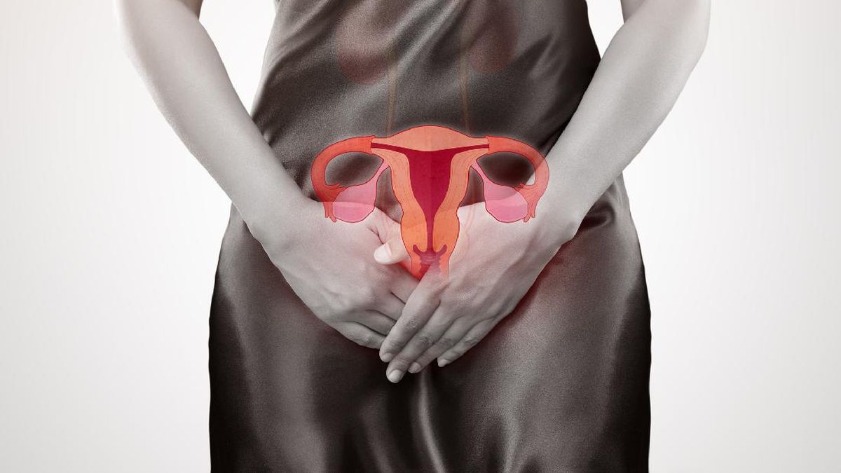 Viral Wanita Muda di Bekasi Perut Membuncit Gara-gara Kista 29 Cm