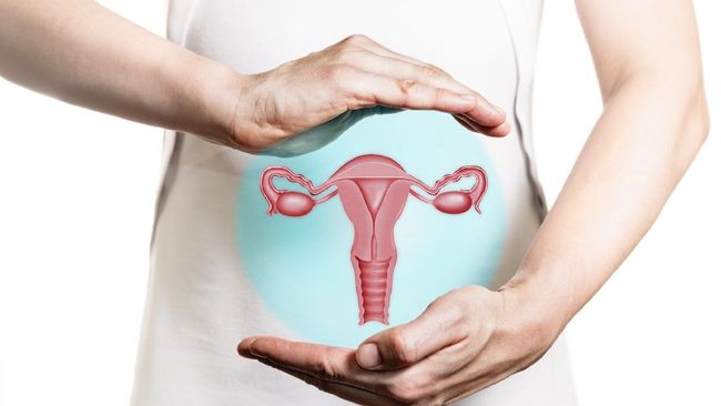 Perkembangan jamur pada vagina bisa menyebabkan infeksi. Berikut beberapa hal yang memicu jamur berkembang biak.
