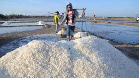 Biang Kerok Impor Garam: Minim Insentif dan Cuaca