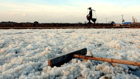 Koster Imbau Pengusaha Bali Pakai Garam Lokal