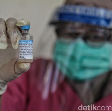 3 Vaksin COVID-19 Diklaim 90 Persen Efektif, Mana yang Cocok untuk Indonesia?