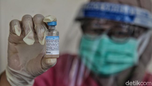 BPOM Amerika Ungkap Efek Samping Vaksin Pfizer