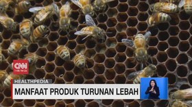 VIDEO: Beda Serta Manfaat Bee Polen, Propolis, dan Madu