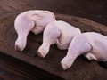 7 Tips Menyimpan dan Mengolah Daging Ayam