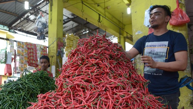 Mendag Muhammad Lutfi menyebut beberapa daerah produsen cabai yang sebelumnya gagal panen mulai membuahkan hasil.