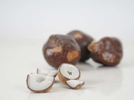 Resep Buah Zuriat untuk Program Hamil, Konsumsi Bareng Ayah Bun!