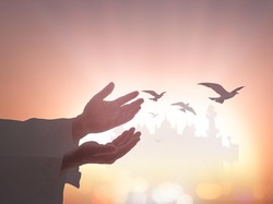 7 Golongan yang Mendapat Naungan Allah SWT di Hari Kiamat