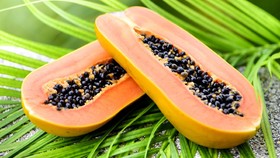 7 Makanan yang Baik untuk Kesehatan Pencernaan