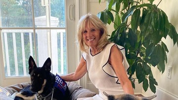 Fakta Jill Biden, Mantan Model yang 5 Kali Tolak Lamaran Joe Biden