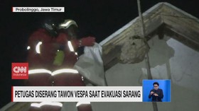 VIDEO: Petugas Diserang Tawon Vespa saat Evakuasi Sarang
