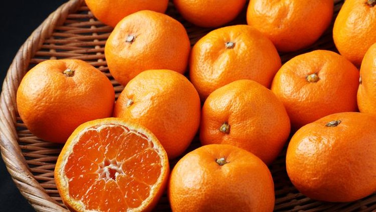 Jeruk mandarin Fantastis! Satu Buah Jeruk Mandarin Mikan Dijual Rp 14,2 Juta di Jepang