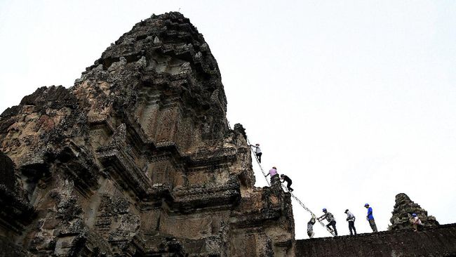 Menjaga keasrian di Angkor Wat tidaklah mudah. Tim pemelihara kebun harus menaklukan ketinggian demi memotong tunas pohon yang bisa merusak struktur bangunan.