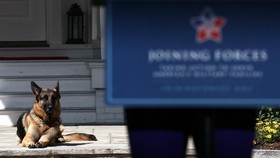 Biden Terpilih, Gedung Putih Punya Anjing Peliharaan Lagi