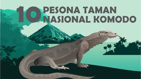 INFOGRAFIS: Pesona Taman Nasional Komodo