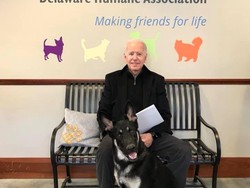 Biden Jadi Presiden AS, Ada Anjing Peliharaan Lagi di Gedung Putih