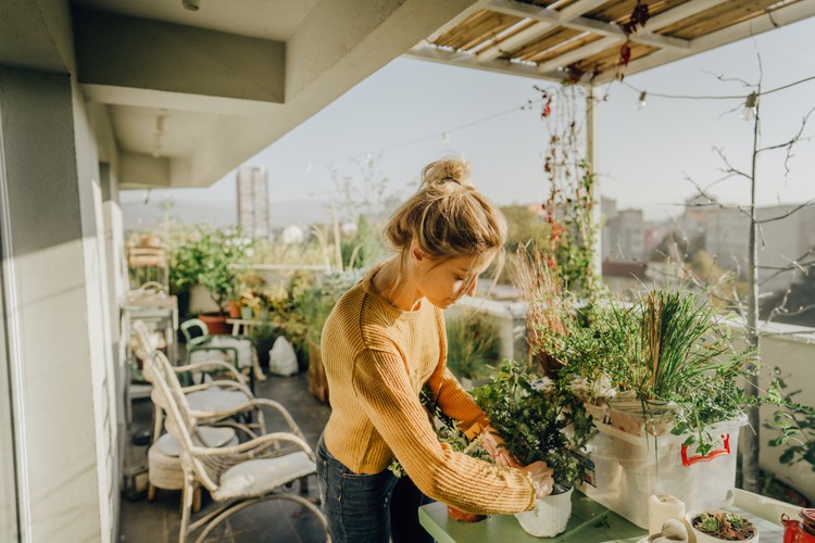 Photo of young woman taking care of her plants on a rooftop garden